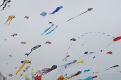 Kites up