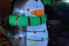 Winterwandeling Rijsbergen 20 december 2025