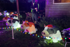 Winterwandeling Rijsbergen 20 december 2025