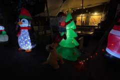 Winterwandeling Rijsbergen 20 december 2025