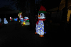 Winterwandeling Rijsbergen 20 december 2025