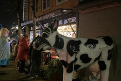 Winterwandeling Rijsbergen 20 december 2025