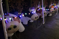 Winterwonderwandeling Kerstmis Rijsbergen