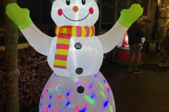 Winterwonderwandeling Kerstmis Rijsbergen