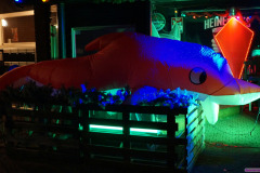 Winterwonderwandeling Kerstmis Rijsbergen