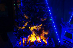 Winterwonderwandeling Kerstmis Rijsbergen